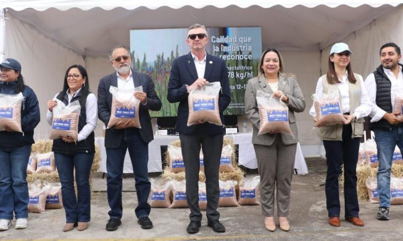 Esta variedad presenta un rendimiento potencial de 7 a 8 toneladas por hectárea / Foto: cortesía Ministerio de Agricultura