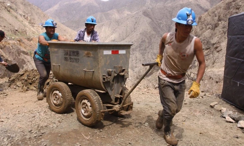 El debate ha sido incluido en la agenda de la Comisión Permanente / Foto: cortesía Proactivo Perú 