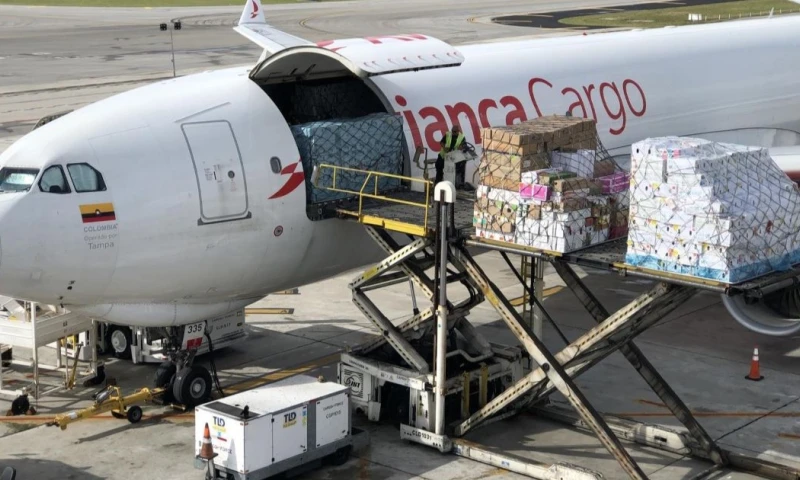 Ecuador es el segundo mayor exportador de flores a EE.UU. / Foto: EFE