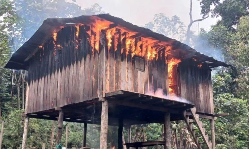 El Ejército destruyó campamentos clandestinos con viviendas en Alto Punino / Foto: cortesía Ejército Ecuatoriano