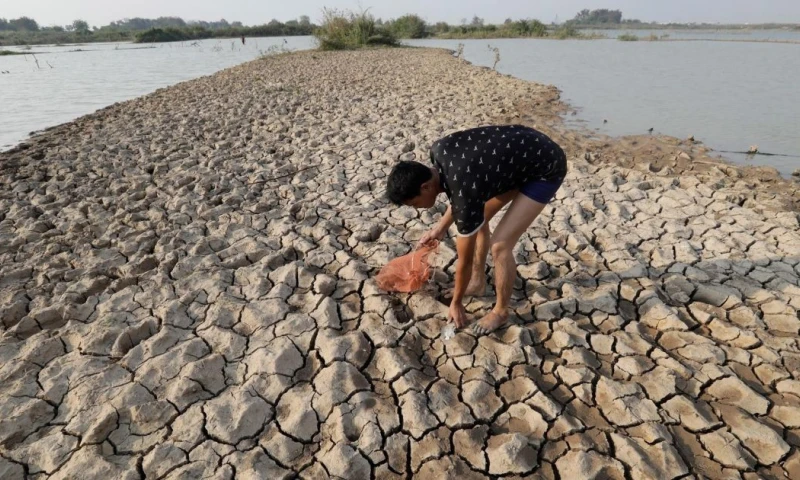 El estudio explora cómo los cambios en las condiciones oceánicas y atmosféricas provocados por El Niño y La Niña alteran los ecosistemas marinos / Foto: EFE