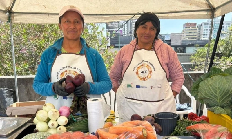 Las capacitaciones están dirigidas principalmente a pequeños productores, con énfasis en mujeres y jóvenes rurales / Foto: cortesía