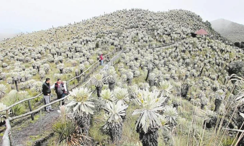 Foto: Diario El Norte