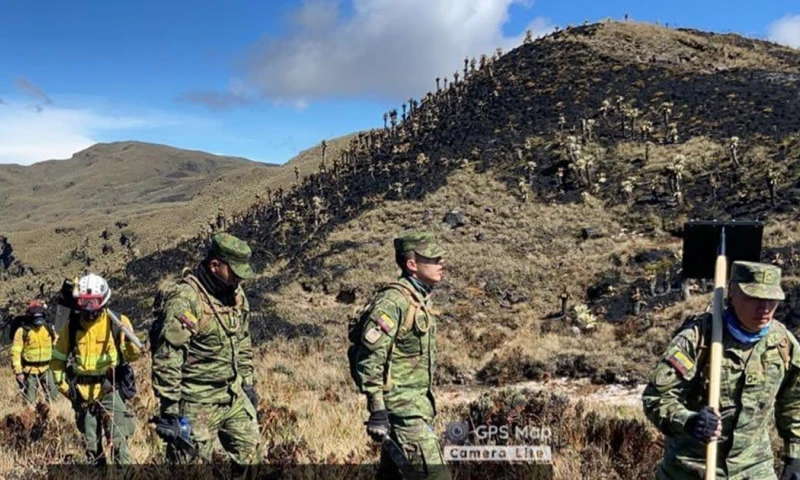 Principales noticias de Ecuador hoy - 30 de enero de 2024 / Foto: cortesía Ejército del Ecuador 