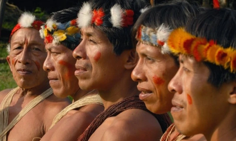 El Bloque 43-ITT está situado dentro del Parque Nacional Yasuní / Foto: cortesía 
