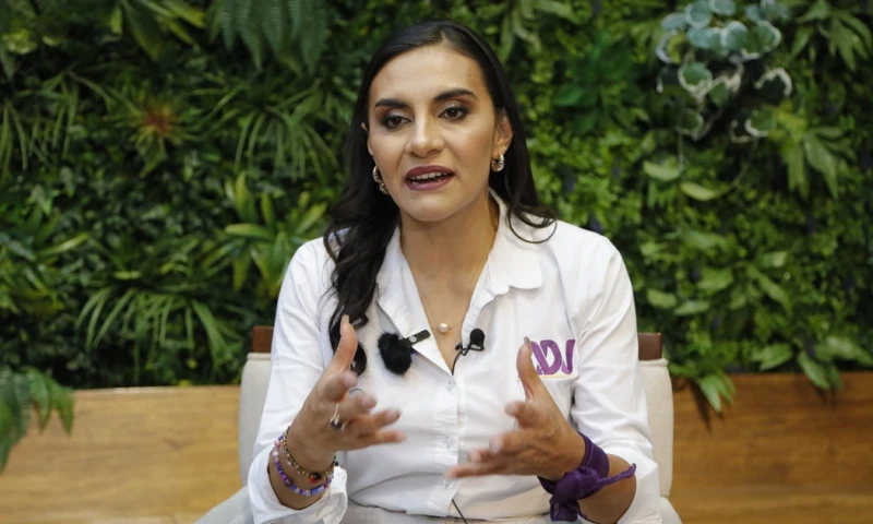 La demanda será evaluada por el Tribunal Contencioso Electoral (TCE) / Foto: EFE