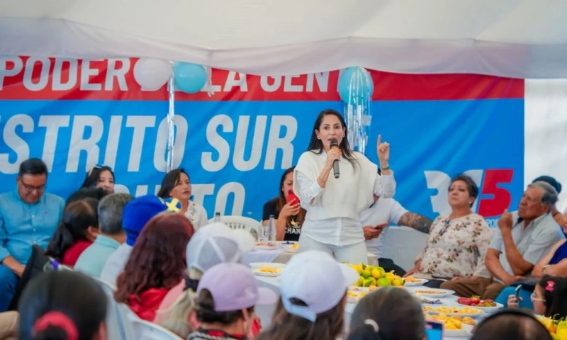 El CNE informó que también se hallaron incongruencias en los informes financieros de otras formaciones políticas / Foto: cortesía Luisa González