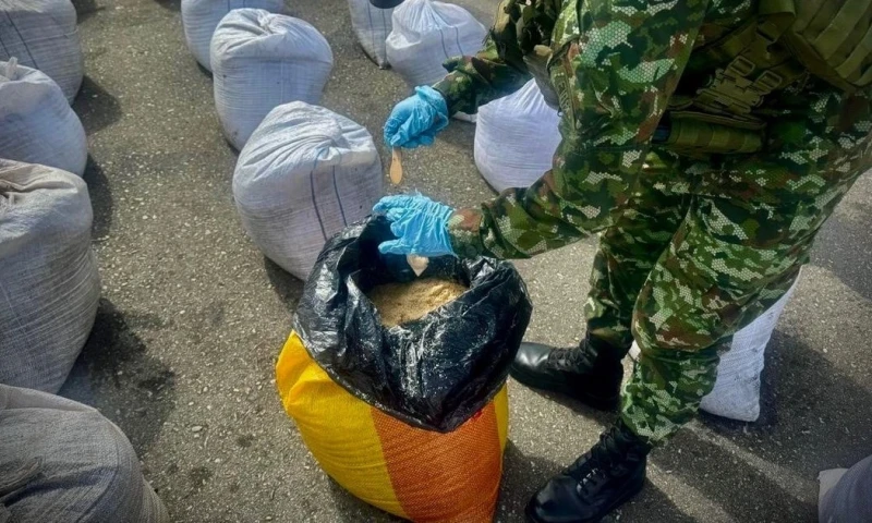 Las Fuerzas Militares indicaron que la destrucción controlada del depósito evitó la posible fabricación de cerca de 8.000 artefactos explosivos / Foto: cortesía Ejército Colombiano