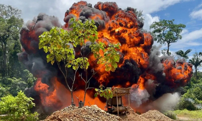 Los funcionarios públicos facilitaban estas actividades mediante salvoconductos falsos / Foto: EFE