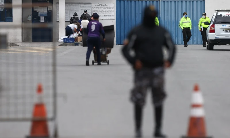 Al menos dos personas han sido detenidas para investigaciones relacionadas con el asesinato  / Foto: EFE