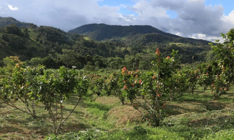 La Comisión Europea clasificó a los países en tres categorías de riesgo: bajo, medio y alto / Foto: El Oriente 
