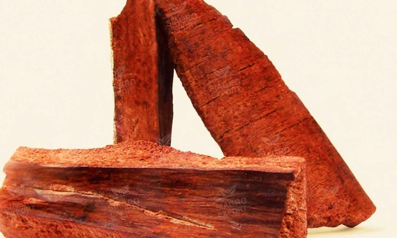 La dulcamara, guayusa, chuchuwasu y la uña de gato destacan / Foto: cortesía