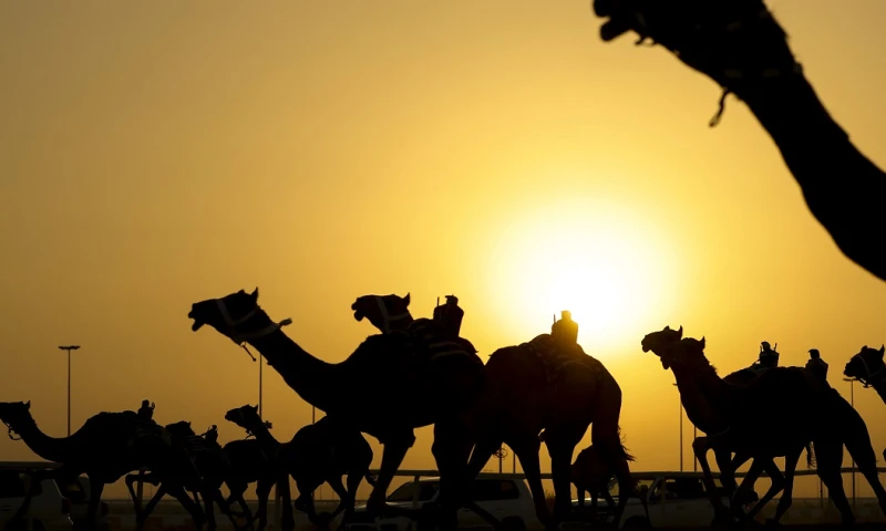 Ante el comienzo del Mundial de Qatar 2022 en los próximos meses, muchas son las personas que se interesarán por conocer las particularidades del país / Foto: EFE