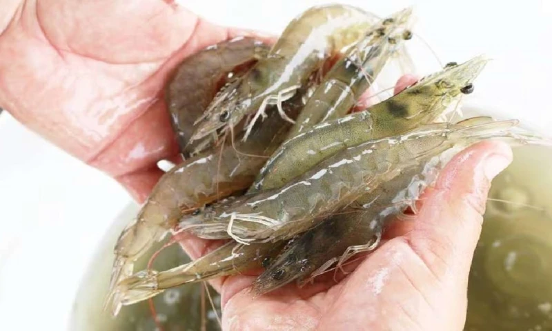 La decisión fue tomada por los ministerios de Agricultura y de Pesca / Foto: cortesía 