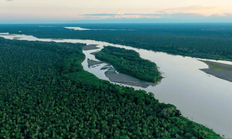 La conformación del comité se realizó en el marco del proyecto Bosques Amazónicos ASL2 / Foto: cortesía Profonanpe