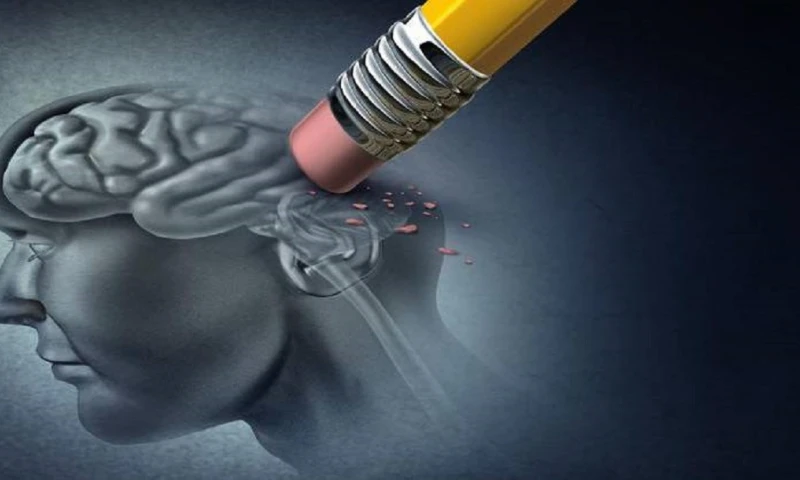 Claman por campañas masivas para prevenir el Alzheimer en Ecuador / Foto: Google Images