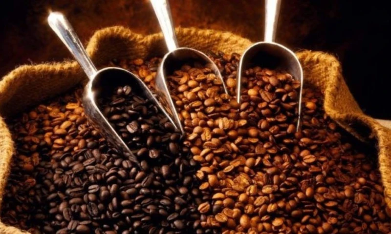 El café es la segunda bebida más consumida del mundo, solo superada por el agua / Foto: cortesía Ministerio de Producción