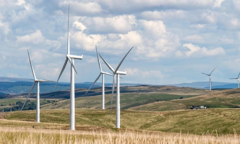 El 19 de agosto, se otorgaron 18 certificados habilitantes a distintas compañías / Foto: Pixabay