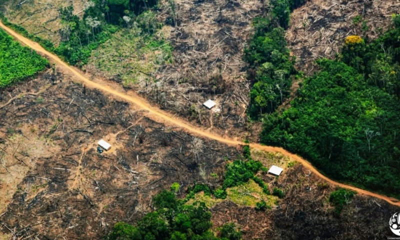 El observatorio permitirá monitorear y analizar en tiempo real las actividades delictivas / Foto: cortesía 