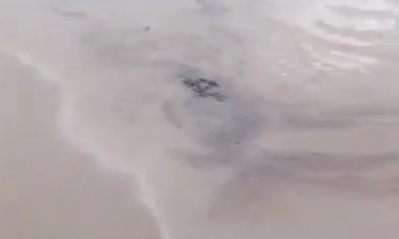 La estatal no ha informado aún sobre la cantidad del hidrocarburo que ha sido vertido por la rotura de la tubería / Foto: cortesia 