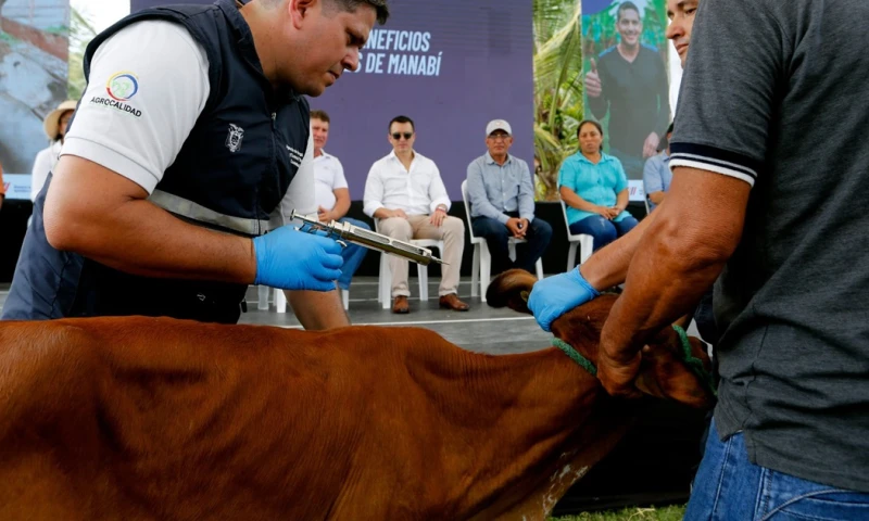 La campaña de vacunación durará 45 días / Foto: cortesía MAG