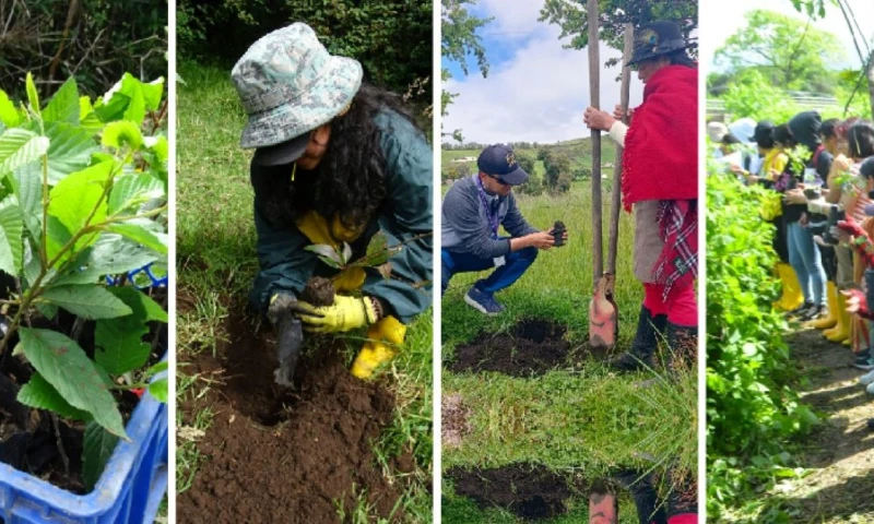 600 personas, entre técnicos, ‘Jóvenes en Acción’ y voluntarios, participaron / Foto: cortesía MAATE