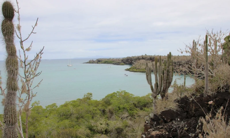 Ecuador en busca de una nueva "moneda verde" para afrontar su deuda / Foto: EFE