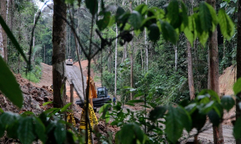 El cuidado del Yasuní es una de las atribuciones de este plan.