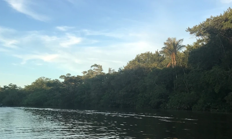 El país busca replicar este modelo para conservar ecosistemas vitales / Foto: El Oriente 