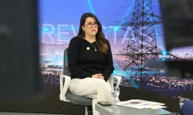 Con este tipo de invitación el Gobierno ecuatoriano busca "subsanar las dificultades del abastecimiento de energía eléctrica en el país" / Foto: cortesía Ministerio de Energía