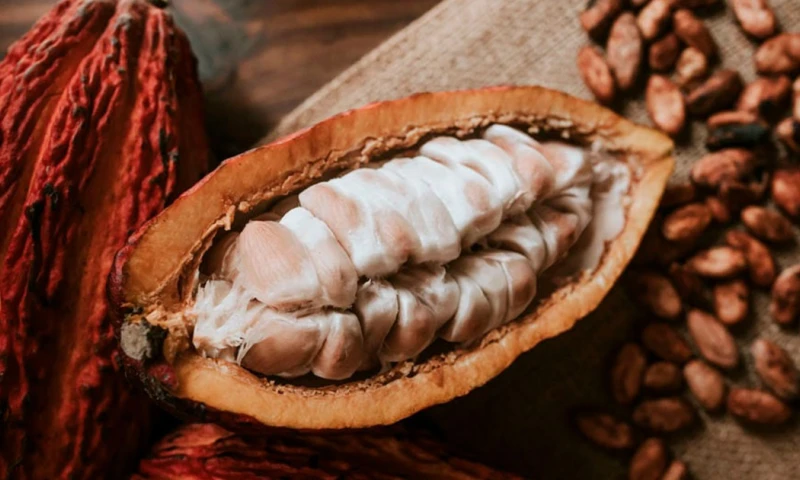 Principales noticias de Ecuador hoy - 21 de febrero de 2024 / Foto: cortesía