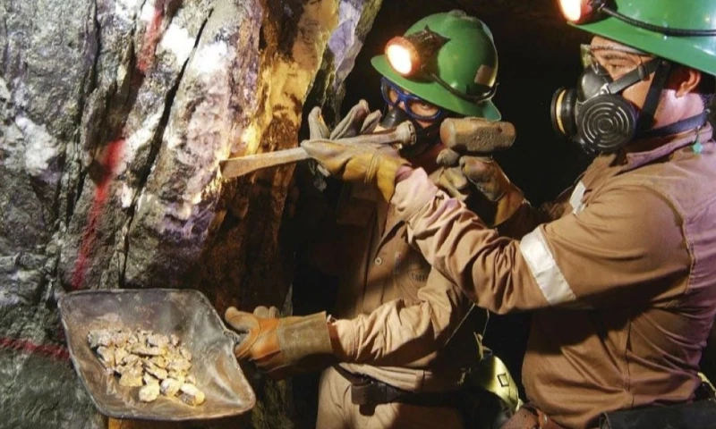 Las provincias amazónicas registran consistentemente las tasas más bajas de empleo adecuado a nivel nacional / Foto: cortesía Cámara de Minería del Ecuador