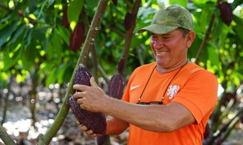 La iniciativa también prioriza la inclusión de pequeños productores, en particular mujeres rurales, jóvenes y comunidades indígenas / Foto: cortesía MAGP