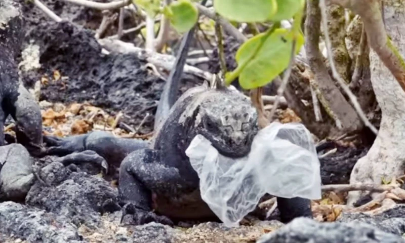 Foto: El Universo