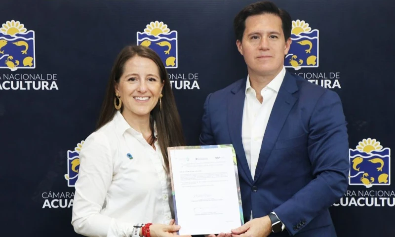El plan contempla el monitoreo científico de los manglares y la ejecución de proyectos piloto de restauración / Foto: cortesía Acuacultura Ecuador