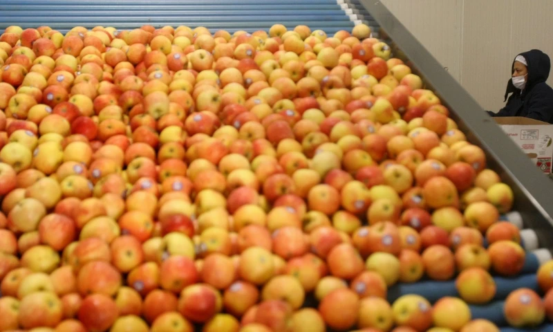 Gremios agropecuarios temen pérdidas por falta de recursos / Foto: EFE