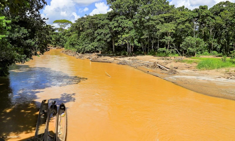 Presentan nuevo Atlas de la Amazonía que ayudará a planificación sostenible / Foto: EFE