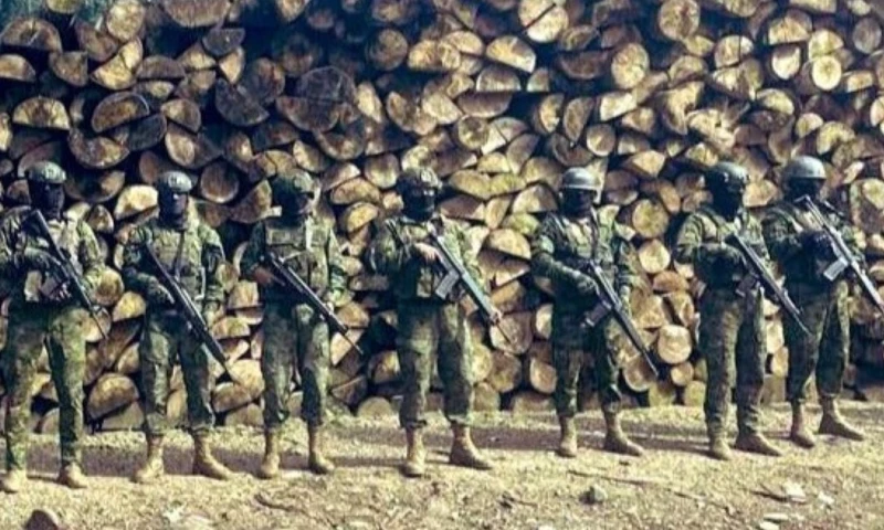 La operación militar se realizó en el sector de Tipishca, provincia de Sucumbíos / Foto: cortesía Ejército ecuatoriano