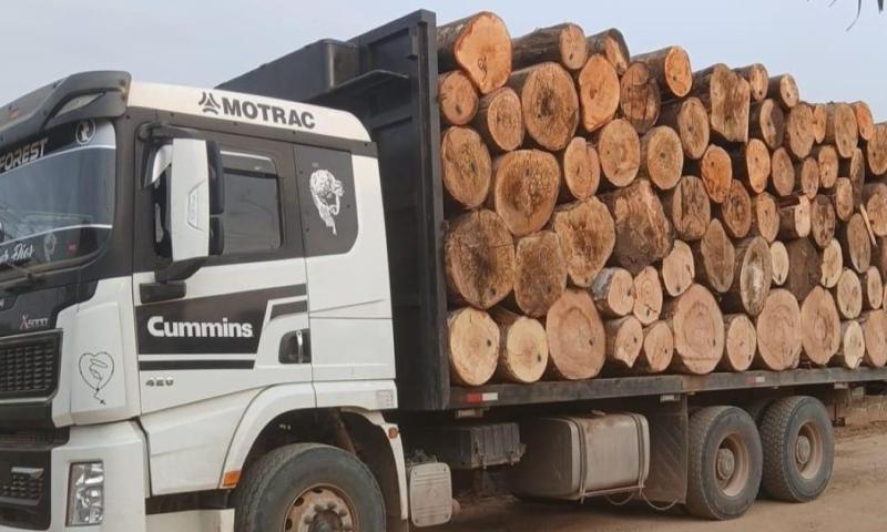 El control se realizó en el sector cercano al aeropuerto local, durante patrullajes de seguridad interna / Foto: cortesía Ejército Ecuatoriano