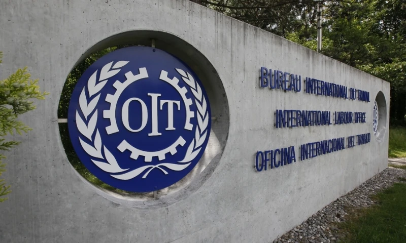 Propuestas de Ecuador y Brasil ganan convocatoria de innovación de la OIT / Foto: EFE 