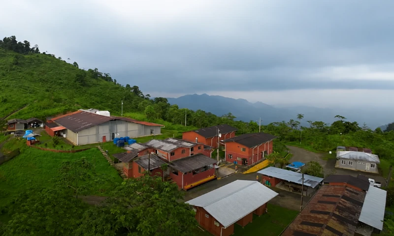 Los Cangrejos contiene recursos medidos e indicados equivalentes a 638 toneladas de oro, unas 20,5 millones de onzas / Foto: cortesía ODIN Mining