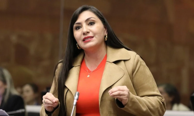 La asambleísta de Zamora Chinchipe, Andrea Rivadeneira, presentó la moción / Foto: cortesía Asamblea Nacional