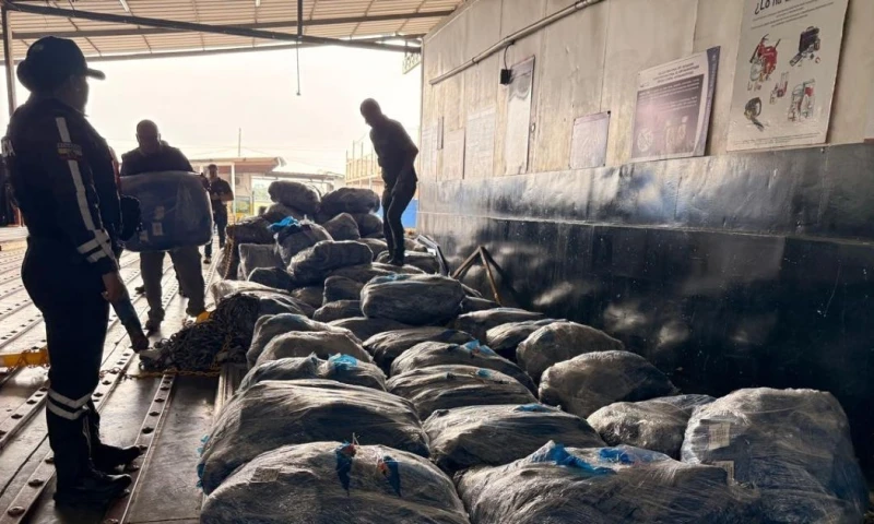 Agentes identificaron irregularidades en un envío registrado como “buche de pescado” / Foto: cortesía Policía Nacional