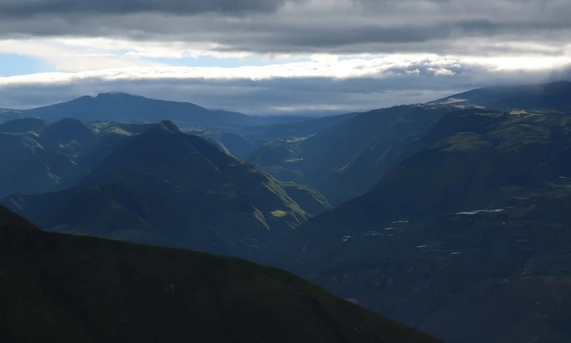 "Montaña de Luz" es un espacio en el que se reemplazaron los matorrales por 3.700 frutales de 50 variedades, 600 bambúes de 9 variedades y 900 palmas de 27 variedades/ Foto: cortesía EFE