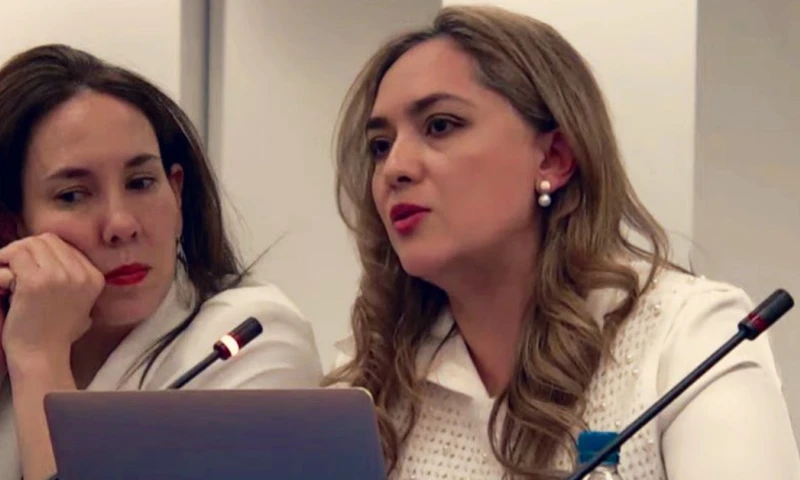 La audiencia se llevó a cabo ayer en Washington / Foto: cortesía Fundamedios