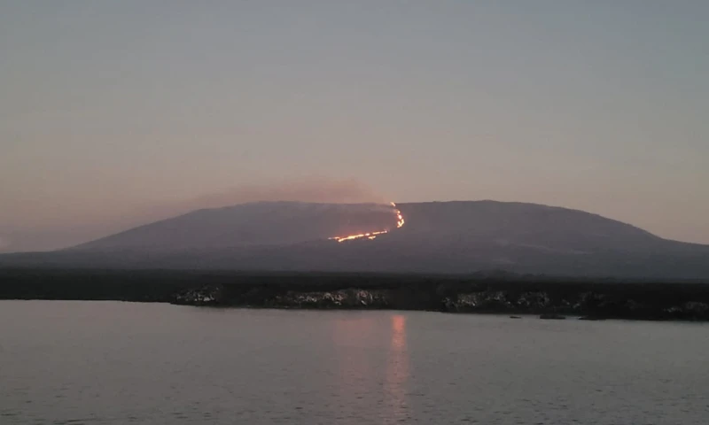Principales noticias de Ecuador hoy - 7 de marzo de 2024 / Foto: cortesía IG