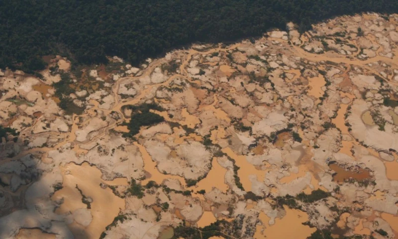 Solo el comercio del oro ilegal mueve más de $ 30.000 millones anuales / Foto: cortesía InfoAmazonía