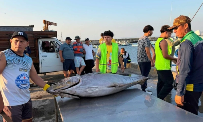 Para acceder a los servicios del Seguro Social Campesino, los pescadores deben contar con permisos de pesca vigentes y actualizados / Foto: cortesía MAGP