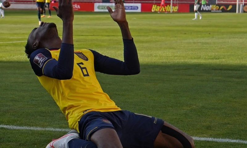 Ecuador escala en La Paz y hunde a Bolivia en las eliminatorias / Foto: EFE