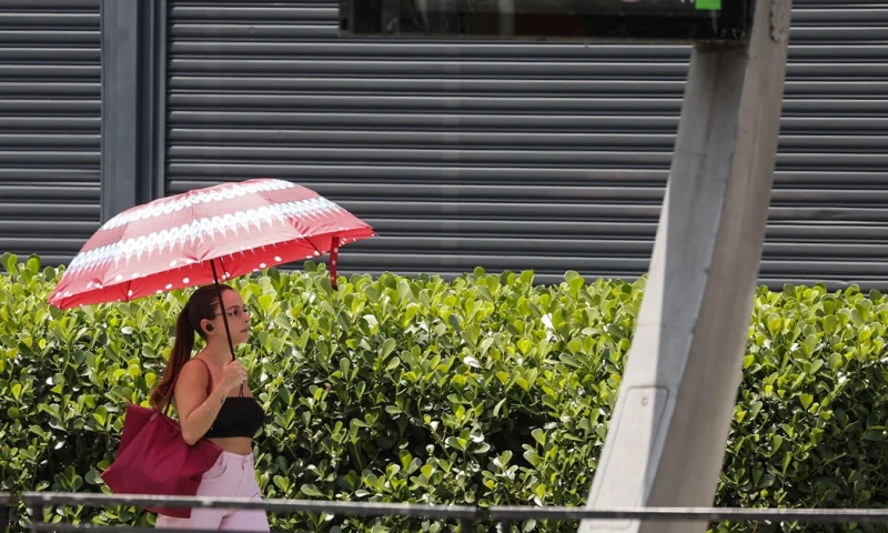 La temperatura promedio a nivel global entre enero y noviembre de este año es la más alta registrada desde que hay mediciones / Foto: EFE